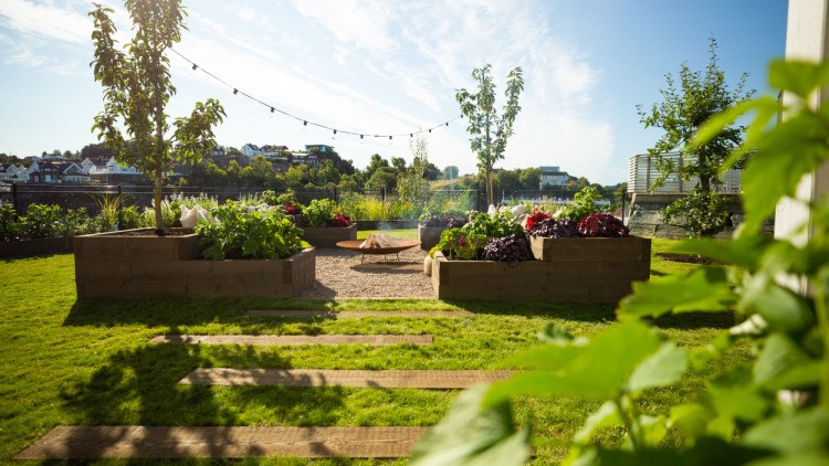 Tid for hage - episode 5 2022