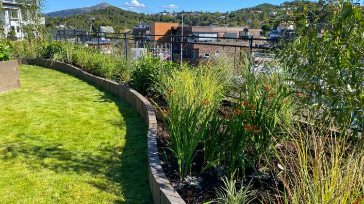 Tid for hage - episode 5 2022