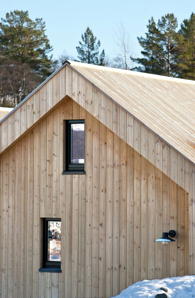 Concise Tretak , natur