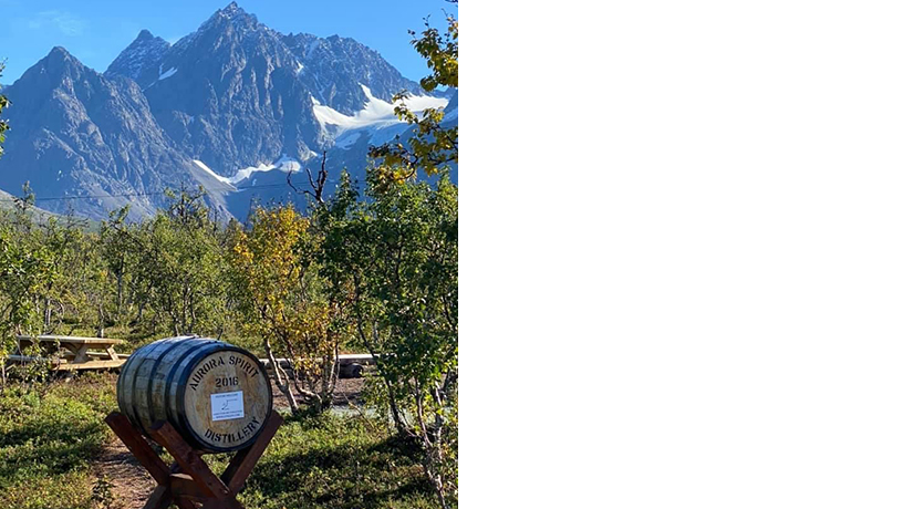 Aurora Spirit Distillery