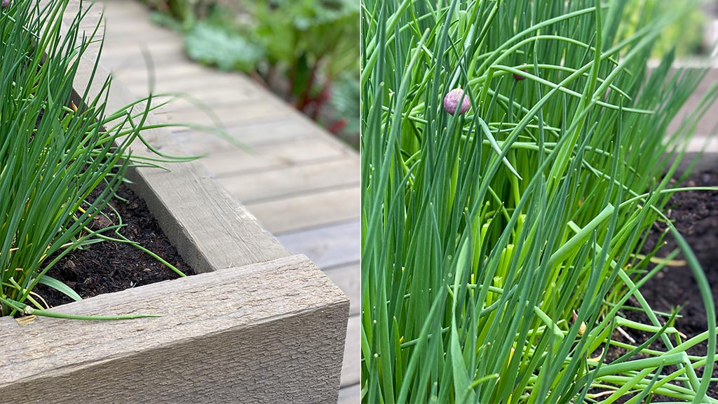 Grønnsakshage: Grønnsakskasser laget av sviller i MøreRoyal grå