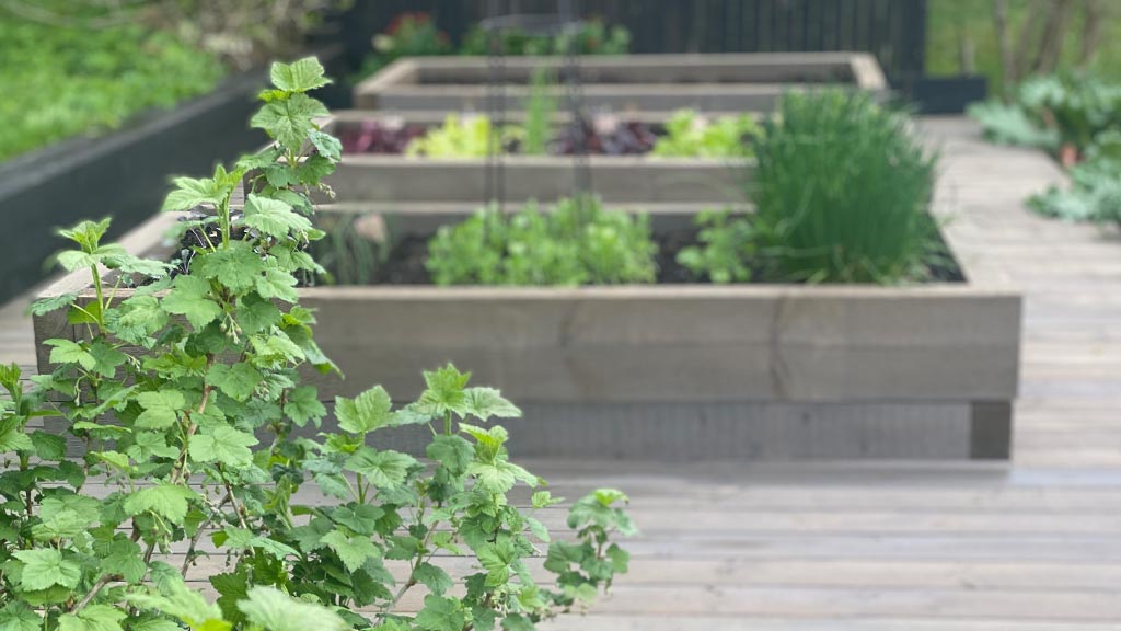 Grønnsakshage: Grønnsakskasser laget av sviller i MøreRoyal grå