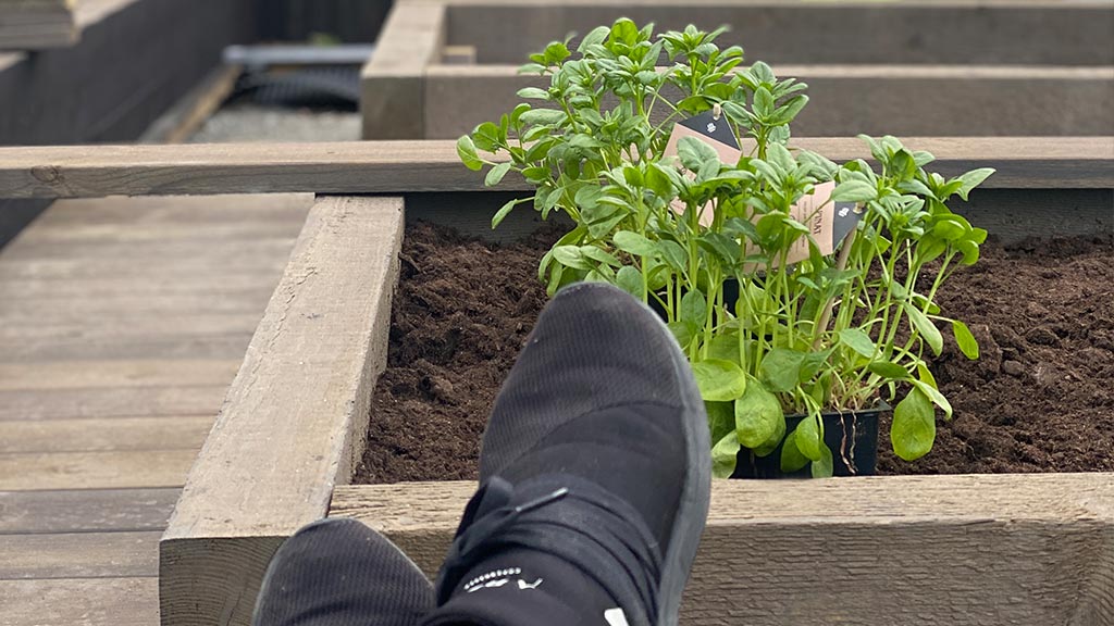 Grønnsakshage: Grønnsakskasser laget av sviller i MøreRoyal grå