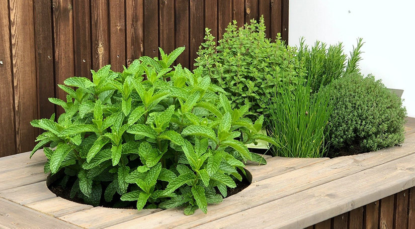 Detaljfoto av utekjøkken med urter