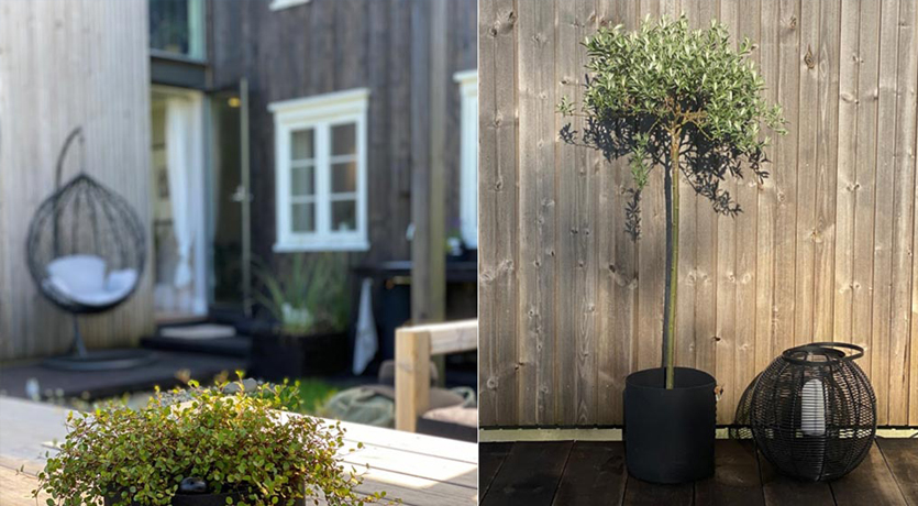 Stemningsfoto fra gården til Marte Helgetun