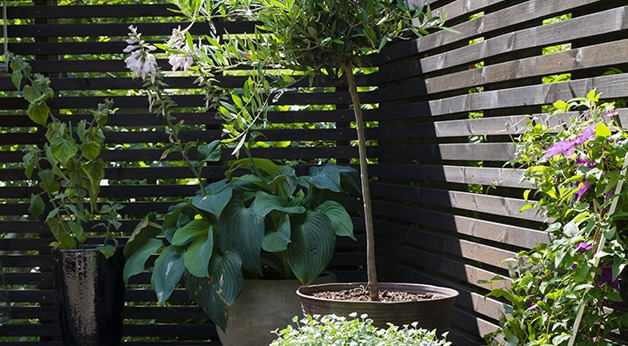 Hjemme hos Marianne Stensrud - detaljfoto av spilerekkverk i MøreRoyal setersvart