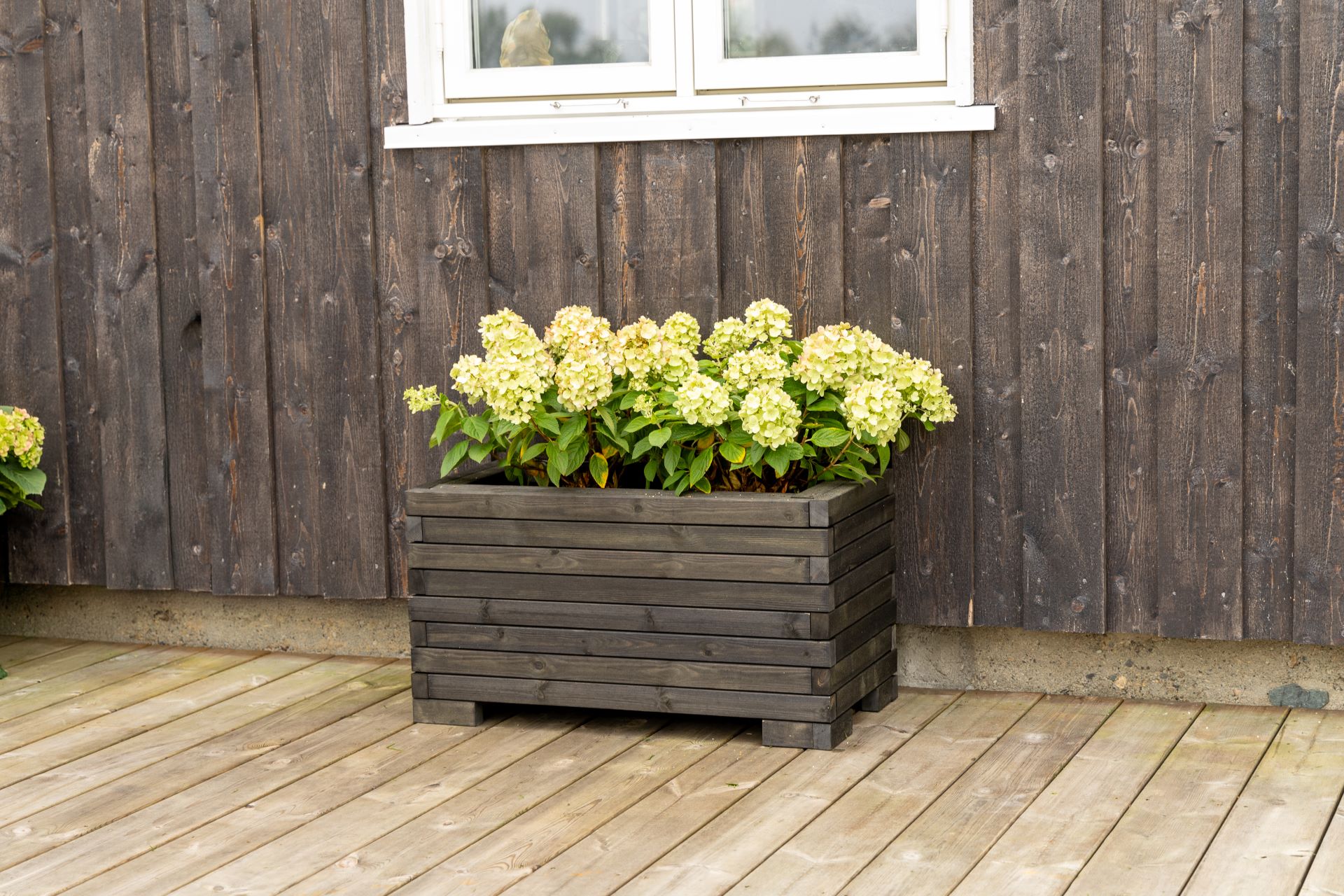 halvstor blomsterkasse med møreroyal lekter